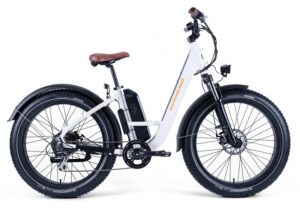 ride rad electric bike
