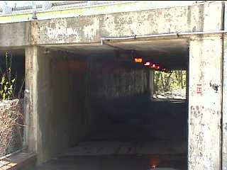 Palatine Trail under Hicks Road