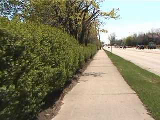 The bike trail along Hicks Road