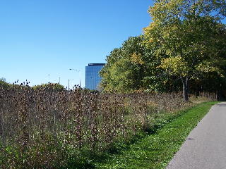 Nature meets the suburban sprawl...