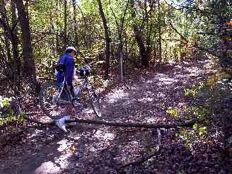 deer grove bike trail