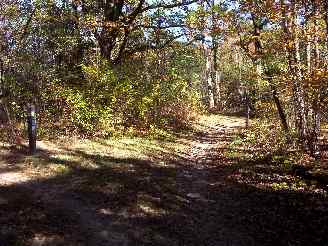 Dirt Bike Trail in Deer Grove West