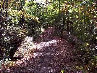 deer grove bike trail