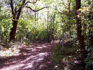 deer grove bike trail