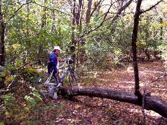 forest preserve bike trails