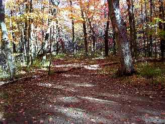 deer grove bike trail