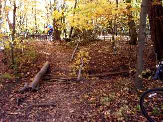 The ravine area (now fenced in) off the orange trail in Deer Grove