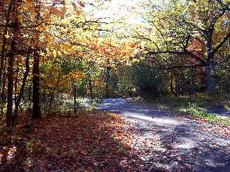 Bottom of hill on orange trail