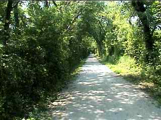 Wooded part of bike trail