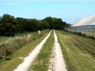 Gravel part of bike trail