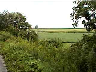 Rural scenery from Long Prairie Trail