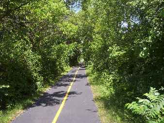 Wooded section of Prairie Trail