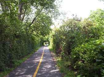 Greener part of trail in Crystal Lake