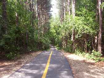 Prairie Trail in Sterne's Woods 