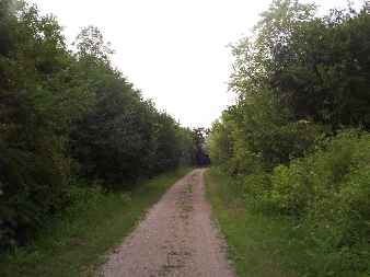 Gravel/dirt part of Prairie Trail