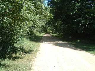 Red Cedar trail's scenic beauty and tranquility