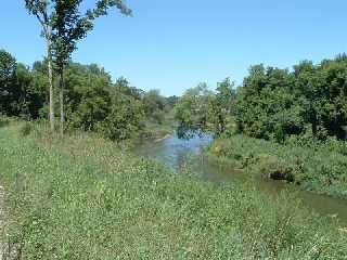 Red Cedar trail shows off...