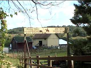 Horse and Pony rides near ES Bike Trail